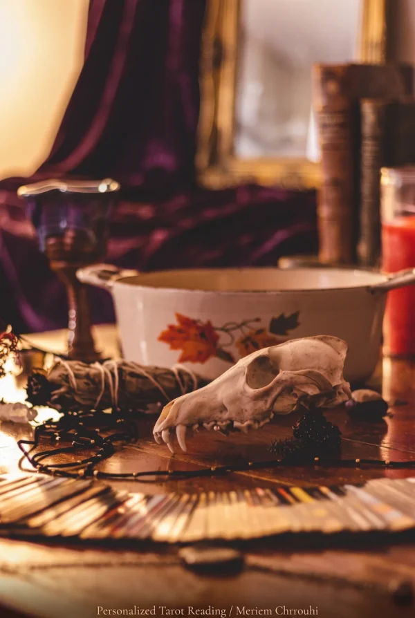 Symbolic Ritual Table Gallery Image | Meriem Chrrouhi Spiritual tabletop with an animal skull, ivory bowl, purple goblet, herbs, candle and cards.