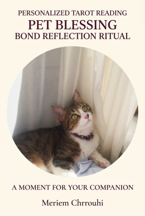 Pet Blessing and Bond Reflection Ritual | Meriem Chrrouhi Pet Blessing and Bond Reflection Ritual — a tabby cat with a burgundy collar resting beside pale curtains and looking upward