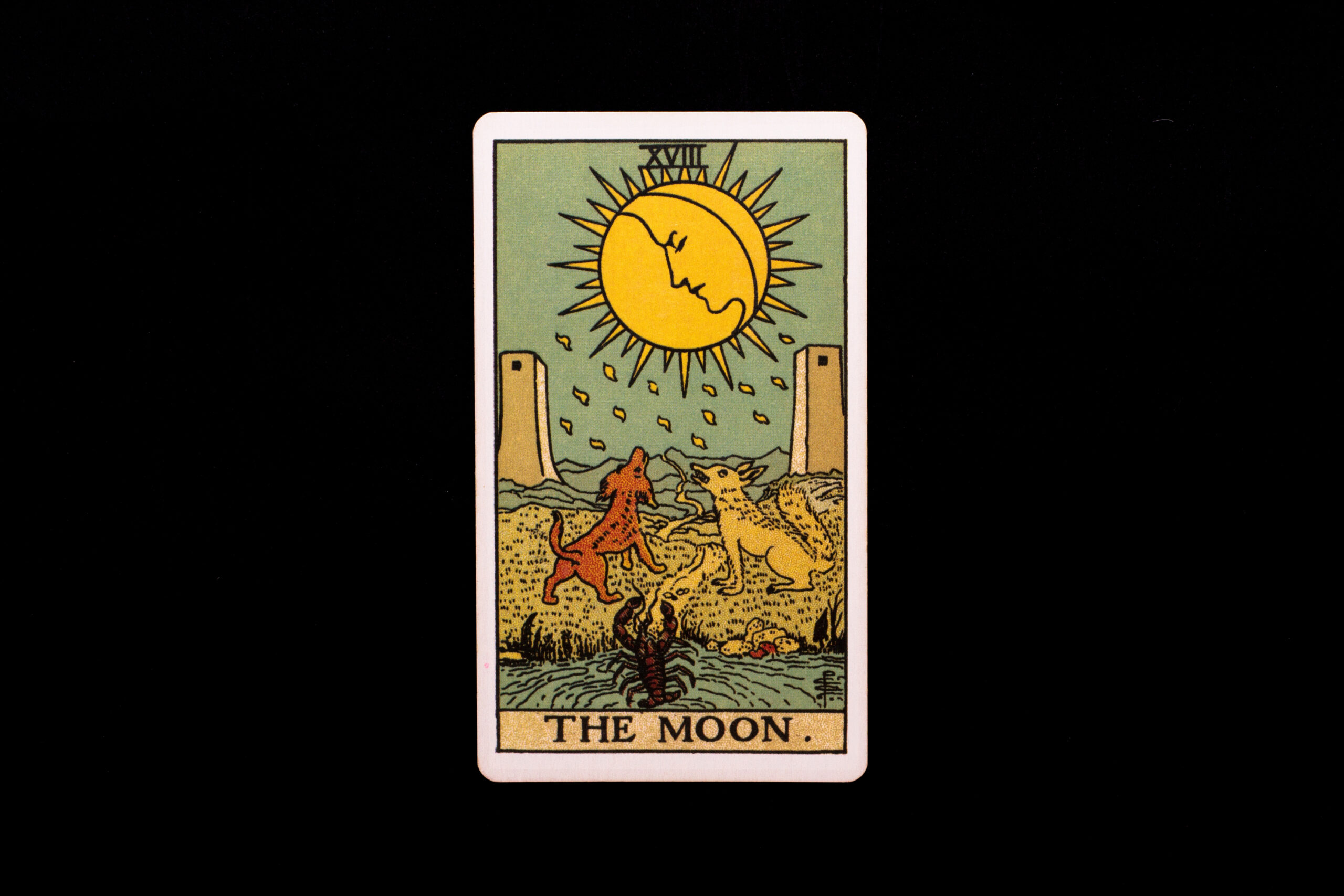 The Moon tarot card on a black background, a card often linked to memory and past life themes
